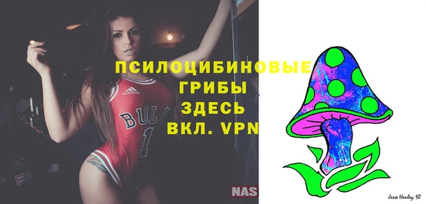 соль ск Алексин