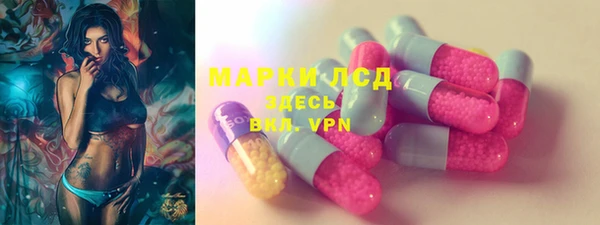 СК Сатка